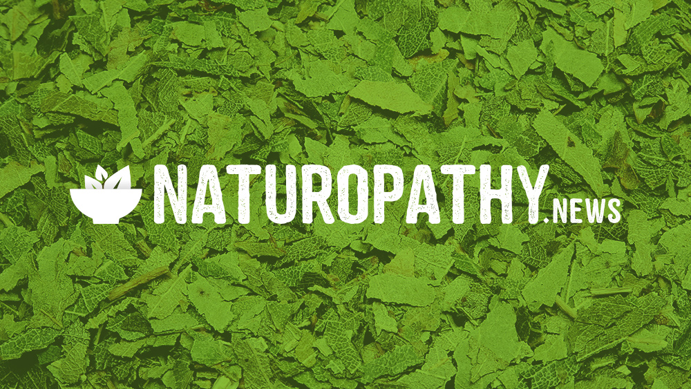 research articles on naturopathy